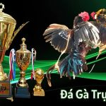 đá gà trực tiếp c3