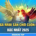 Đá Gà RR88 - Sân Chơi Cuốn Hút Bậc Nhất 2025