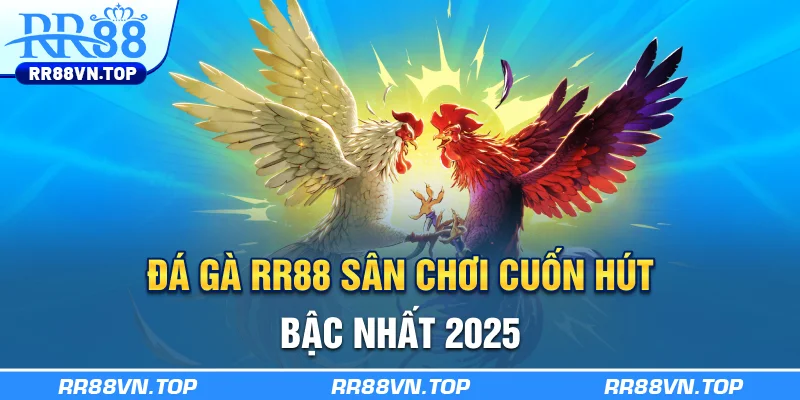 Đá Gà RR88 - Sân Chơi Cuốn Hút Bậc Nhất 2025